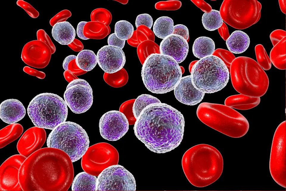 What Does Low Lymphocytes Mean? (2026 Guide)