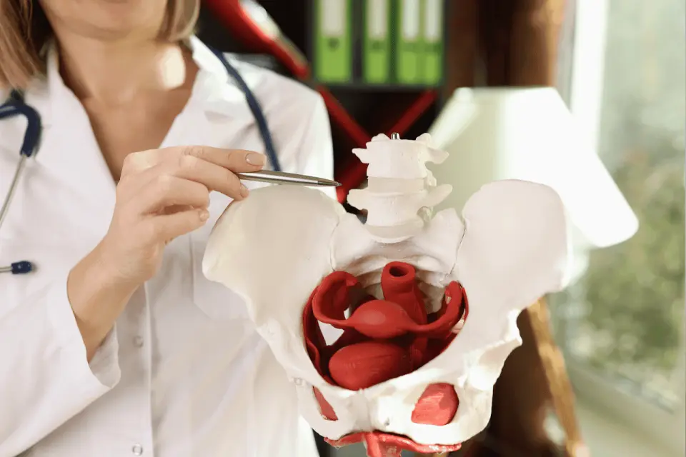 Not Sure Why You Have Pelvic Pain? Here’s a Quick Guide