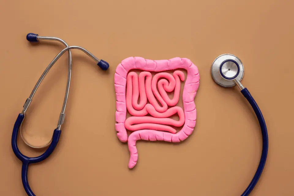 Best Over-the-Counter Medicine for IBS (2026 Guide)