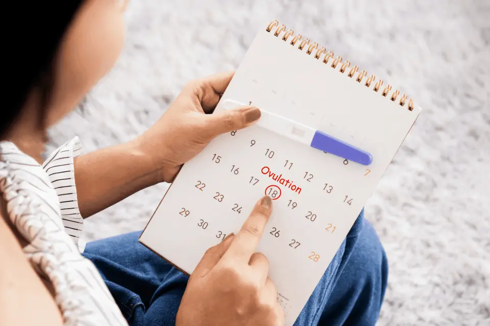 What a Positive Ovulation Test Looks Like