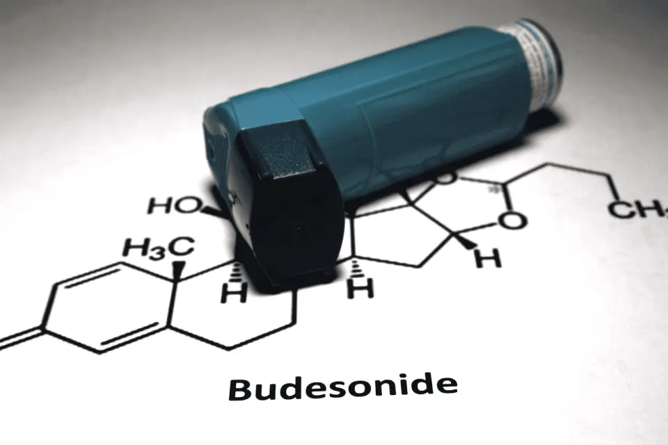 8 Budesonide Interactions: What To Avoid When You’re Taking Budesonide