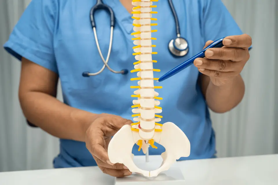 Lumbar Spondylosis: Symptoms, Causes, and Treatment