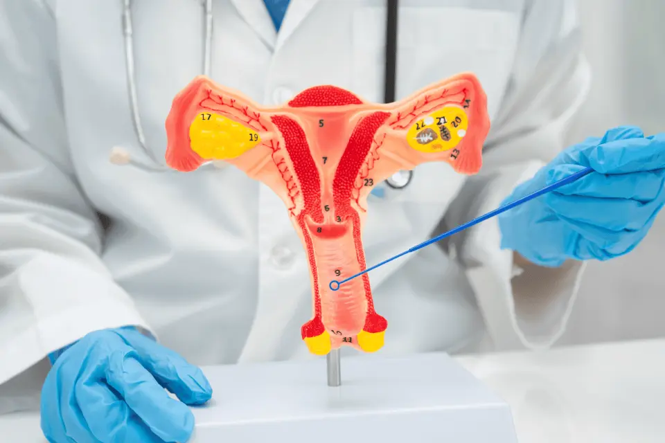 Why Does My Vagina Burn?
