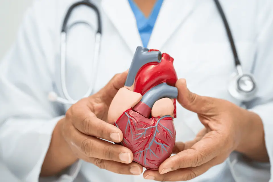 Why Does My Heart Ache? Emotional vs Physical Causes