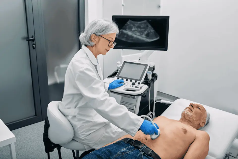 Abdominal Organ Chart: Where Everything Is