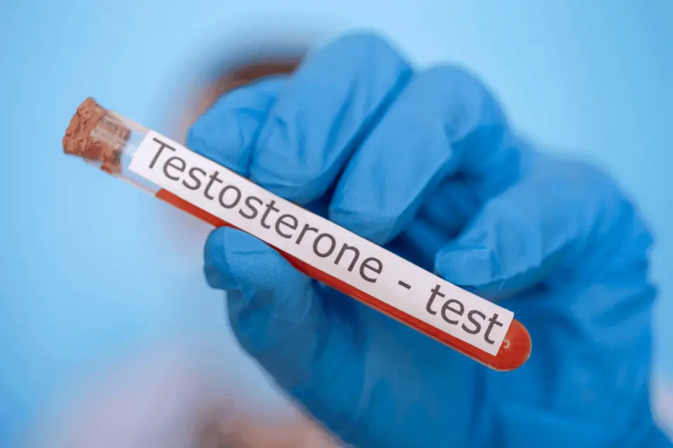 Do Onions Really Boost Testosterone?