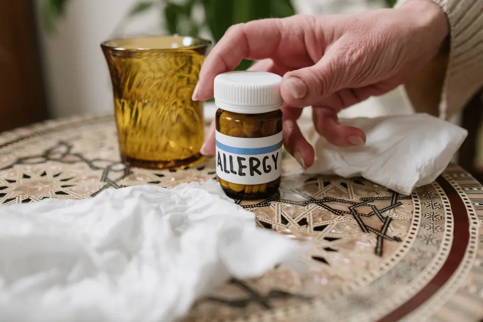 OTC Allergy Medications: Which Ones Actually Work for Spring Symptoms