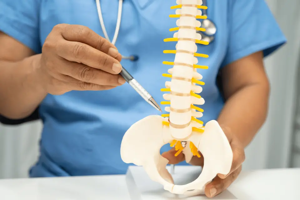 Spondylosis: Causes, Symptoms, and Treatment Options