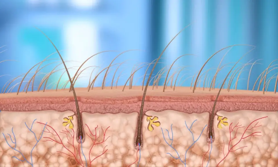 Ingrown Hair vs Herpes: Similarities and Differences
