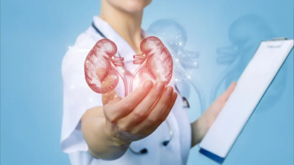 Pain in Your Side or Back? Here's How to Spot a Kidney Infection