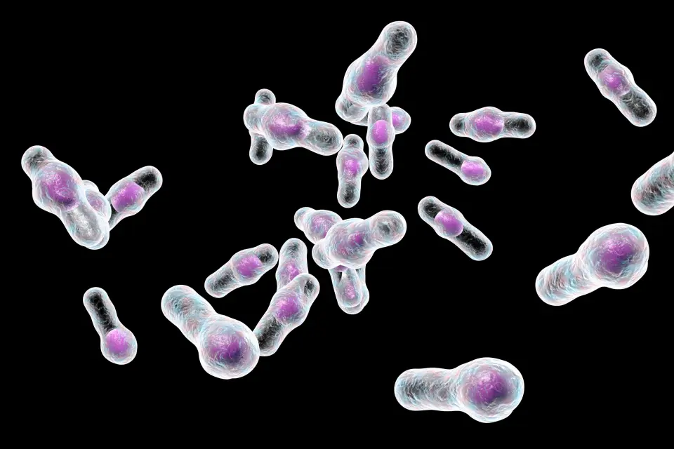 Can Urgent Care Test for C. Diff?