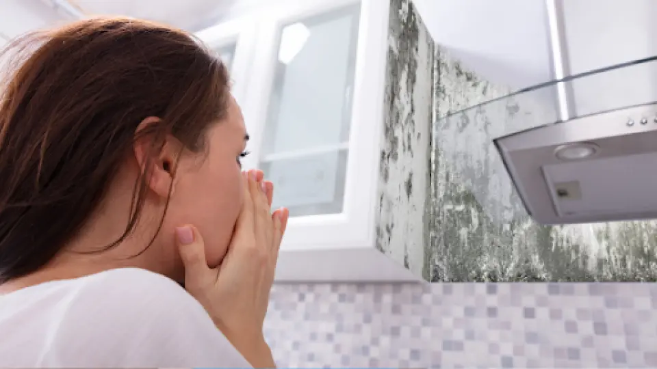 Can Urgent Care Test for Mold Exposure? What's Actually Possible