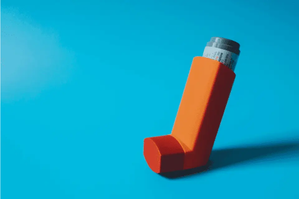 Budesonide Dosage Guide: Nebulizer Dose for Adults (2026)