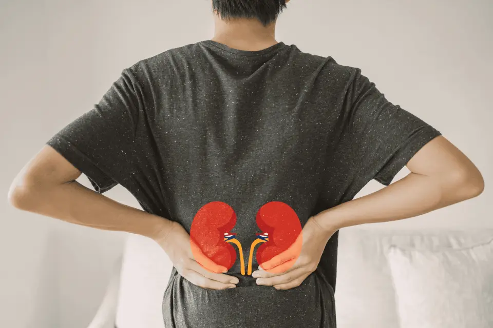 How Long Does It Take for Your Kidneys to Recover From Dehydration?