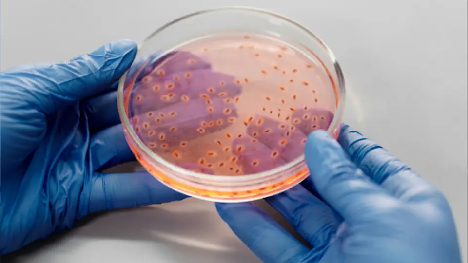 Can I Go to Urgent Care for a Yeast Infection?
