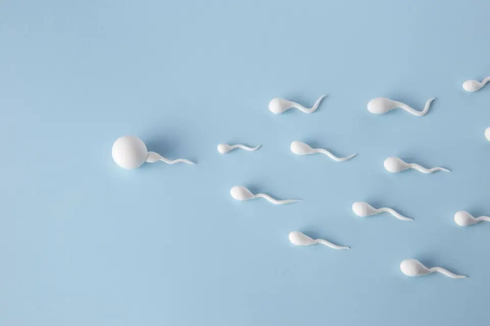Disadvantages of Releasing Sperm Daily: What You Need to Know