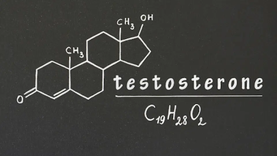 Is Testosterone Considered a Steroid?