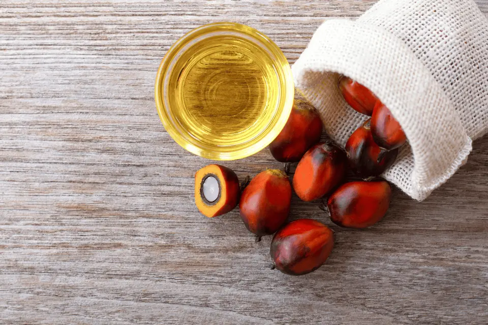 Is Batana Oil Effective for Hair Loss?