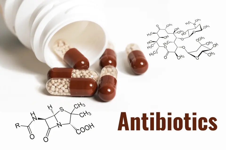 Here’s Why Antibiotics Don’t Work for the Flu