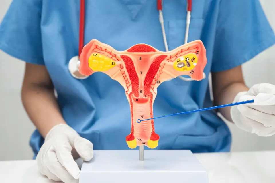 The Best Yeast Infection Treatments: OTC and Prescription Options