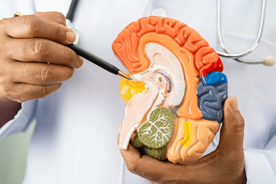 Semaglutide and Alzheimer’s Disease: Phase 3 Trial Updates