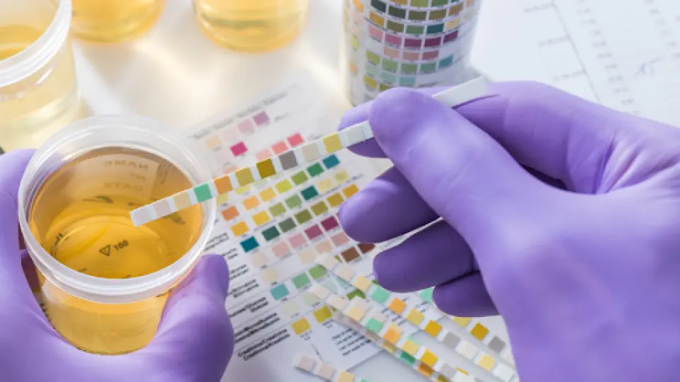Can Telehealth Treat a UTI? Fast, Effective Treatment Online