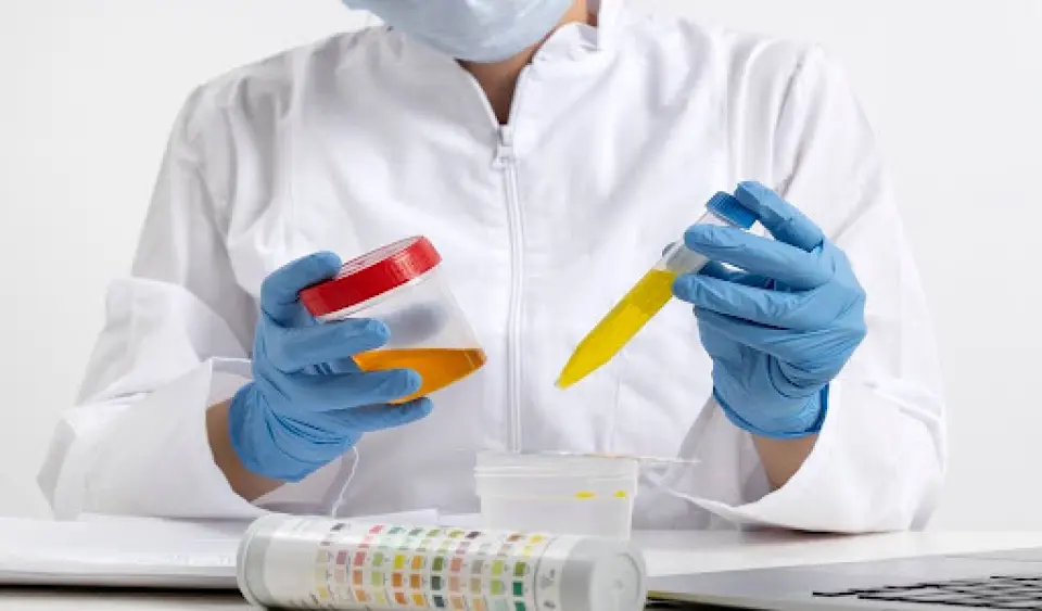 When Is a BUN/Creatinine Ratio Considered Dangerous?