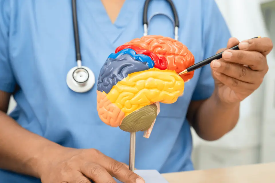 GLP1 and Alzheimer’s Studies - What We Know